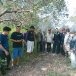 Tidak Menunggu Lama Usai RDP Polemik Perpanjangan HGU PT Ifis Dheco Kadis Perkebunan Dan Hortikultura Lakukan Sidak