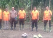 Polsek Bosar Maligas Dukung Ketahanan Pangan Melalui Penanaman Jagung di Lahan Kosong